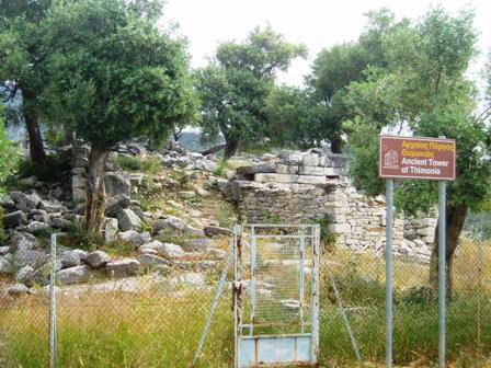 thimonia tbla