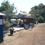 balazsh - 2007