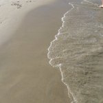 balazsh - 2008 - Paradiso Beach