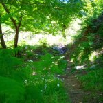 paleohori_osi_falu_59