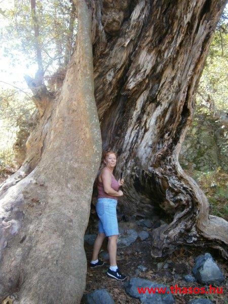 Samothraki 2014. szeptember