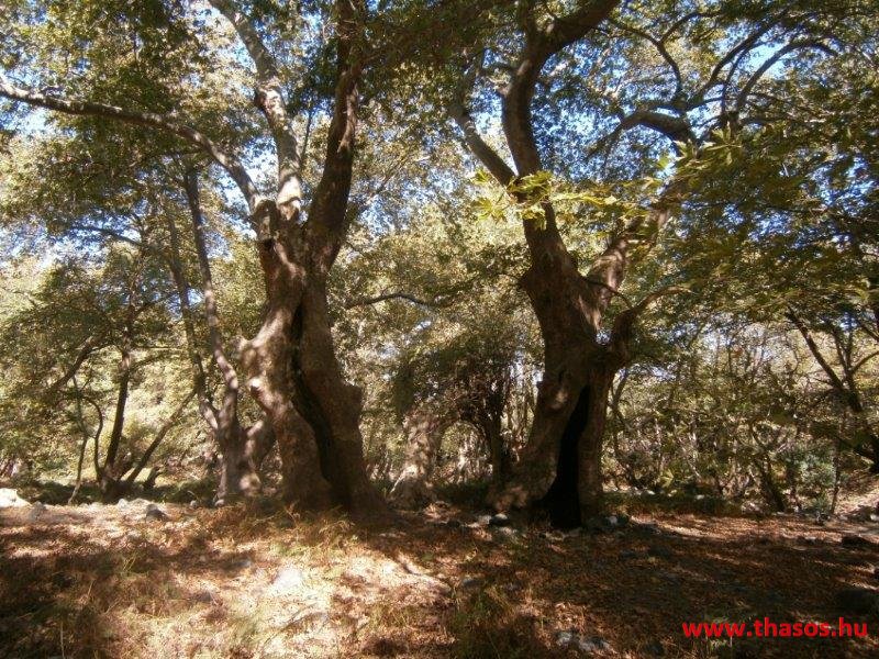 Samothraki 2014. szeptember