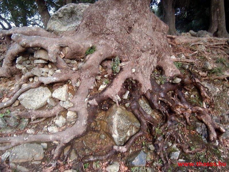 Samothraki 2014. szeptember
